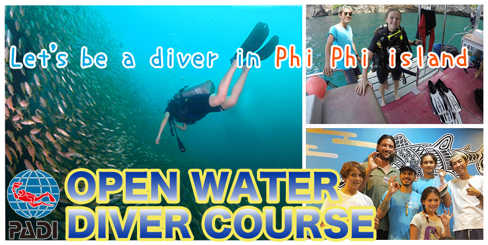 Diving in Phi Phi PADI course openwaterdiver