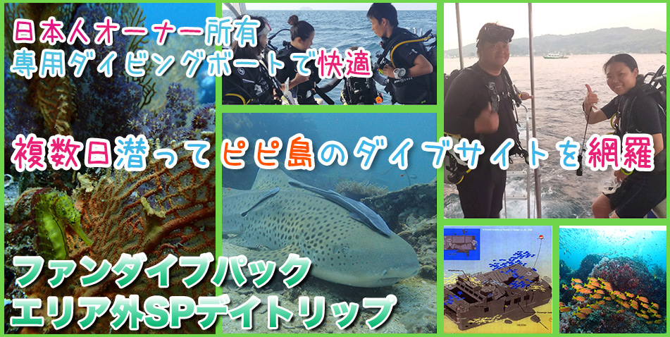 ピピ島ダイビングファンダイブキングクルーザーシャークポイントアネモネリーフ