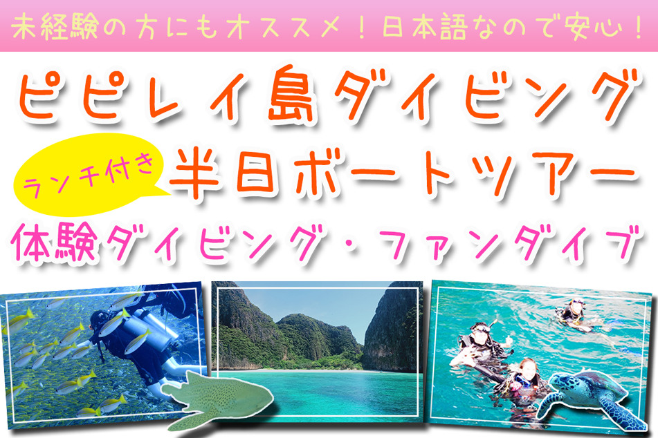 ピピ島ダイビング日本人ピピ島体験ダイビング日本語　ファンダイブ