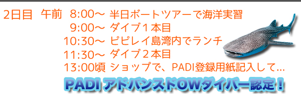 ピピ島アドバンスライセンス