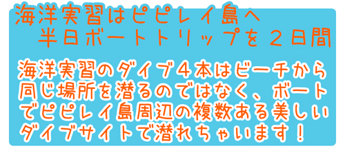 ピピ島ダイビングライセンスPADIオープンウォーターダイバーコース特徴1