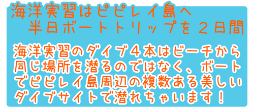 ピピ島ダイビングライセンスPADIオープンウォーターダイバーコース特徴１