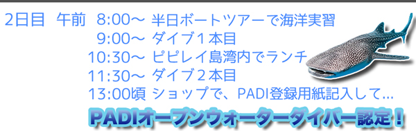 ピピ島ダイビングライセンス PADIオープンウォーターダイバーコース タイダイビングライセンス