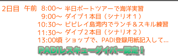 レスキューダイバー　タイ　プーケット　ピピ島