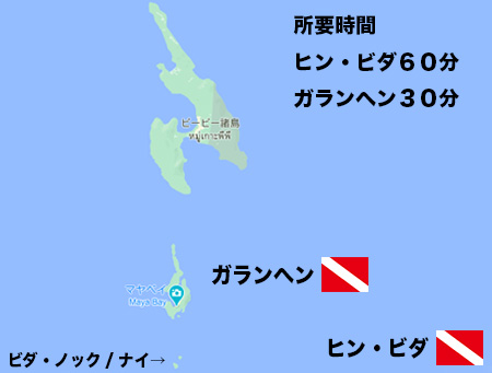 ピピ島ダイビング/ダイブサイト レオパードシャーク