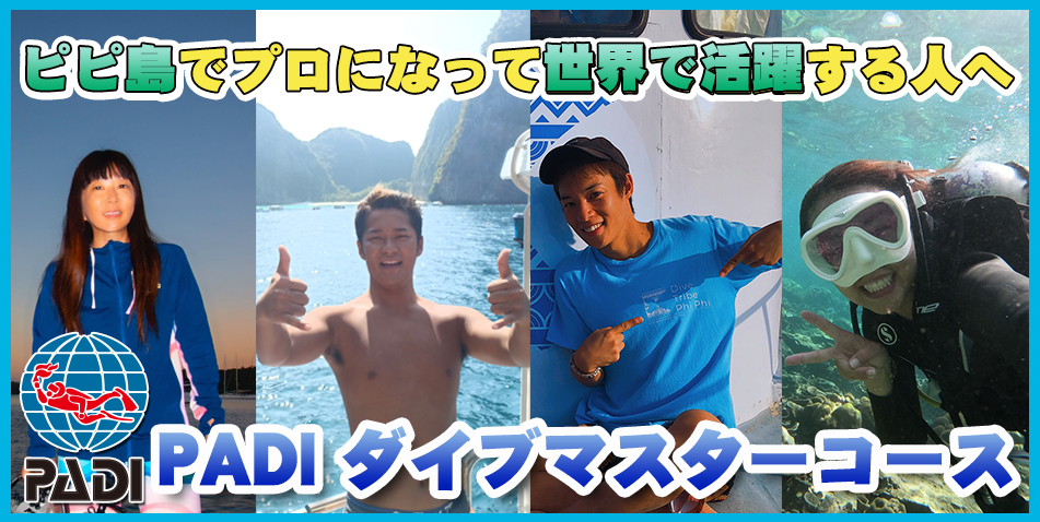 PADIダイブマスター ダイマス タイ ピピ島 プーケット ピピ島ダイビング