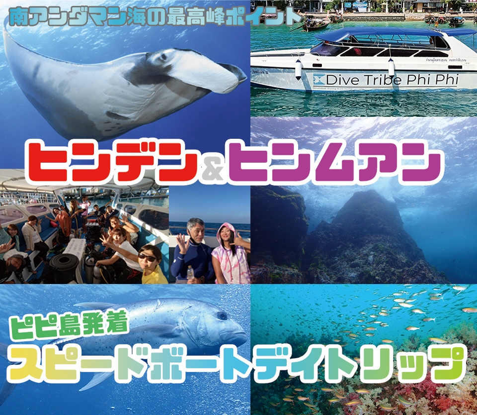 タイ ダイビング ピピ島 ヒンデンヒンムアン スピードボート