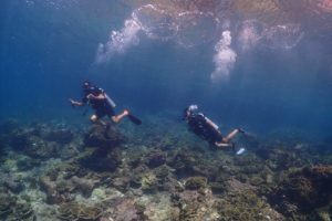穏やかで晴天続きの6月ピピ島。毎日潜ってます。