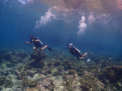 穏やかで晴天続きの6月ピピ島。毎日潜ってます。