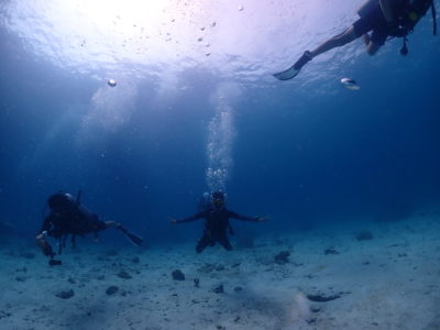 バンコクダイバーグループとコハー(koh Haa)３本