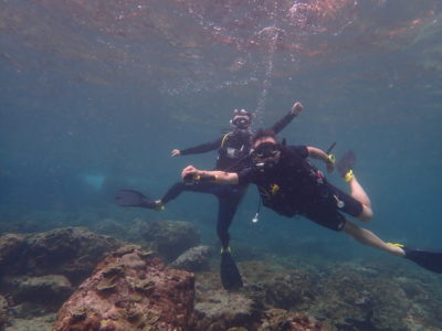 1週間ピピ島でダイビングするとどうなるか